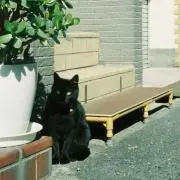 matsuの画像