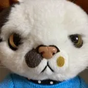 Cmamaの画像