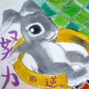 みぃちゃの画像