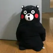 junboo+*+*