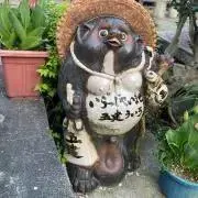 たぬたぬ