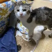 ナツキ