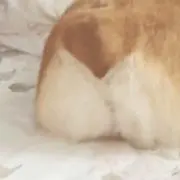 みんの画像
