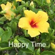 HappyTime(o^^o)