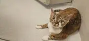 beckhwuの画像