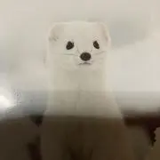 りんな♡ 購入前プロフ確認お願いしますの画像