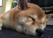 リーリー