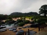 チャチャの画像