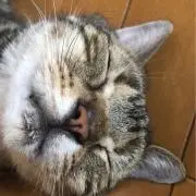 ok0501！の画像