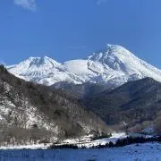 ナカタスス