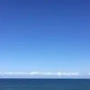 綾鷹の画像