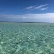 ひろちゃんの画像