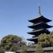 ギバの画像