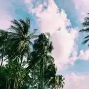 ＭＭの画像