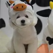 あっこ