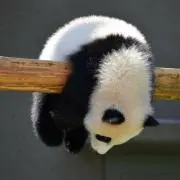 いよふの画像