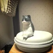 kalyの画像