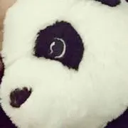 えぬんの画像