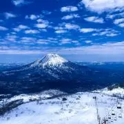 がっちょの画像