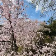 ととろ