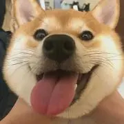 なおやの画像