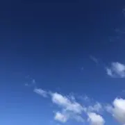 Blueの画像