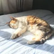 なお