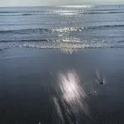 a0tの画像