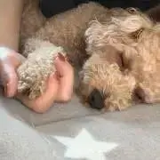 リツ※プロフ必読の画像
