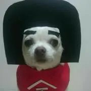 あけみんの雑貨屋の画像