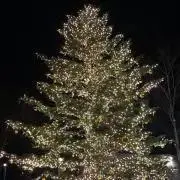 carrynanaの画像