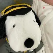 mngの画像