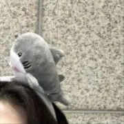 Rの画像