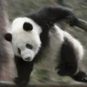 KKKの画像