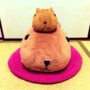 ふぁいとの画像