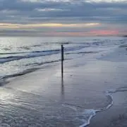 yt_の画像