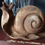 NC