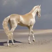 ウィリアムの画像