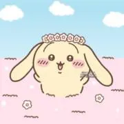 にゃ〜ちゃんの画像