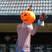 ぽけっとの画像