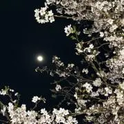 かえる