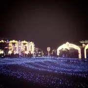 Ａの画像