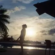 のぞみの画像