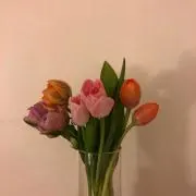 puu♡の画像
