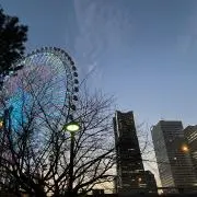 りたの画像