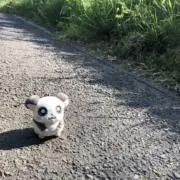 ぶり子の画像
