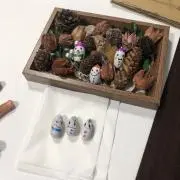 はなはなの画像