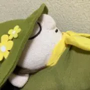 noi‪*°の画像