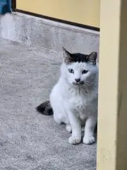 ニック