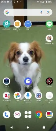 百翔の画像